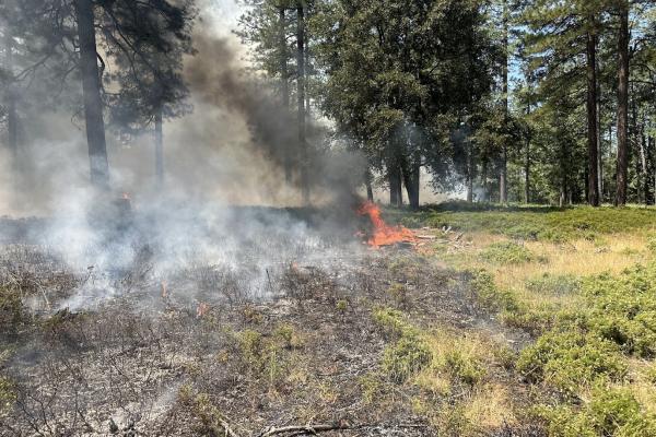 Prescribed Fire Burning in kit-kit-dizze
